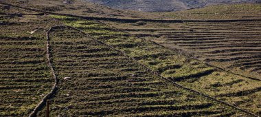 Yunanistan. Kea Adası. Bahar kayalık peyzaj