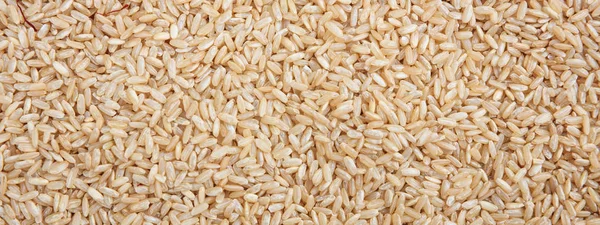 Raw millet seeds full frame background, banner — Stock Photo, Image