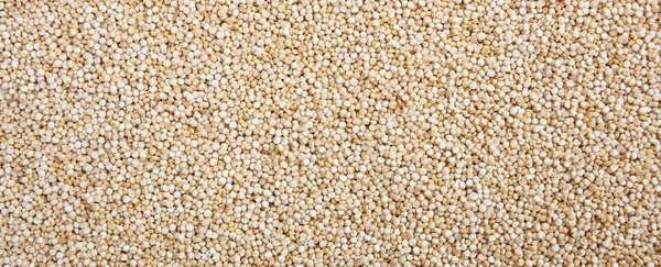 Sementes de quinoa cruas cor branca fundo quadro completo, banner — Fotografia de Stock