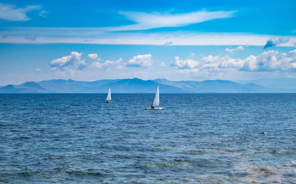 Small optimist boats with white sails, blue sky and sea background — Stock Photo, Image