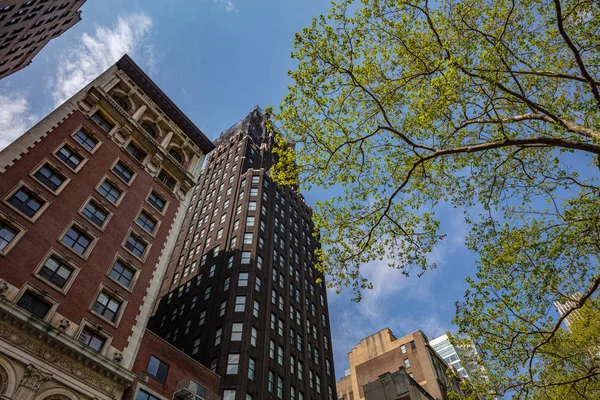 뉴욕, 맨해튼. 푸른 하늘 배경, 봄의 화창한 날에 대한 아래에서 높은 건물보기 — 스톡 사진