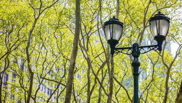 Pouliční lampa svítí zeleně stromů. New York, Manhattan ve městě — Stock fotografie
