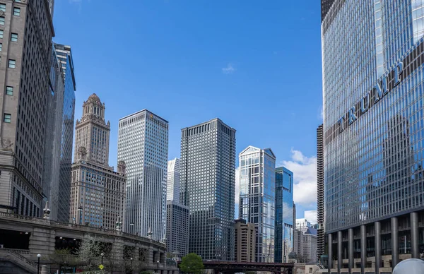 Чикаго Іллінойс місто хмарочоси, блакитне тло неба — стокове фото