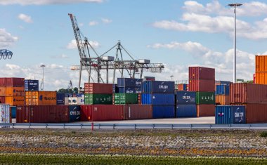 Rotterdam limanında vinçler, Hollanda. Lojistik iş, kargo yükleme boşaltma