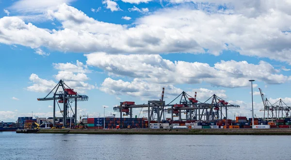 Kranar i hamnen i Rotterdam, Nederländerna. Logistikverksamhet, Last avlastning — Stockfoto