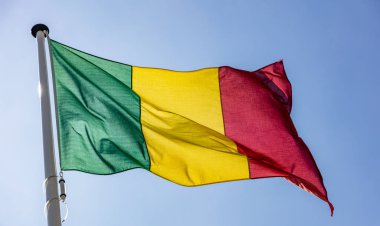 Mali bayrağı açık mavi gökyüzüne karşı sallayarak