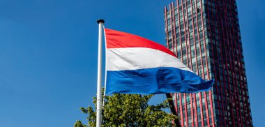 Hollanda bayrağı açık mavi gökyüzüne karşı sallayarak