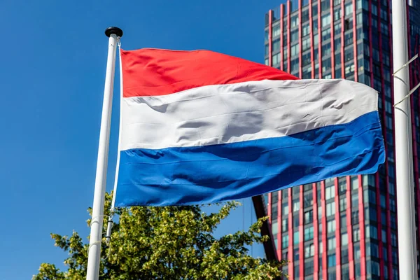 맑고 푸른 하늘을 향해 흔들리는 네덜란드 국기 — 스톡 사진