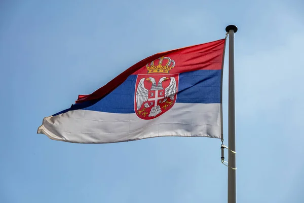 Сербський прапор розмахуючи проти чисте синє небо — стокове фото