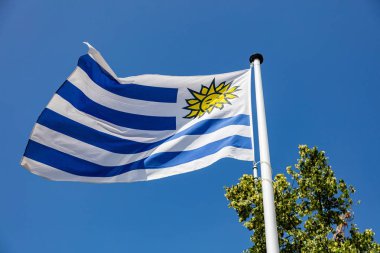 Uruguay bayrağı açık mavi gökyüzüne karşı sallayarak