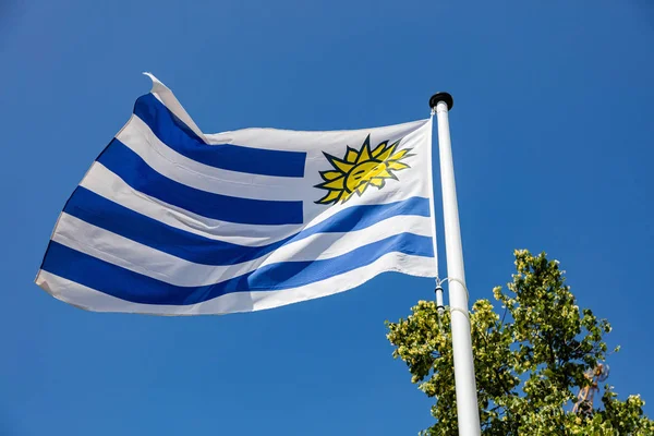 Прапор Уругваю розмахуючи проти чисте синє небо — стокове фото