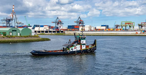Barco rebocador no porto de Roterdão, Holanda. Negócios de logística, descarga de carga — Fotografia de Stock