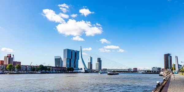 Cityscape and Erasmus bridge, sunny day. Rotterdam, Netherlands. — Stock Photo, Image