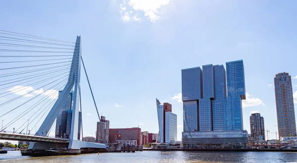 Paesaggio urbano e ponte Erasmus, giornata di sole. Rotterdam, Paesi Bassi . — Foto Stock