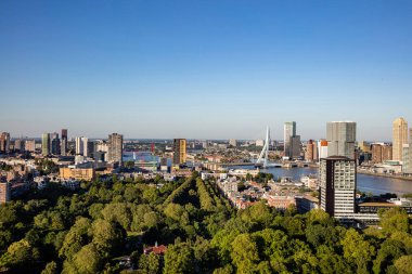 Rotterdam Hollanda şehir manzarası ve Erasmus köprüsü. Euromast kulesinden havadan görünüm, güneşli bir gün