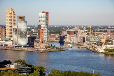 Rotterdam Hollanda şehir manzarası ve Erasmus köprüsü. Euromast kulesinden havadan görünüm, güneşli bir gün