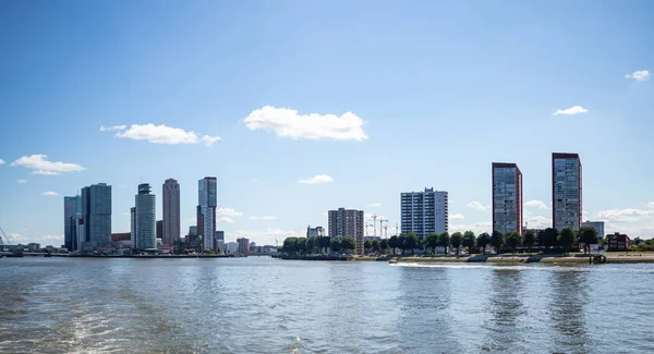 Cityscape and Erasmus bridge, sunny day. Rotterdam, Netherlands. — Stock Photo, Image