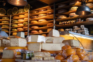 Hollanda peynirleri, edam, gouda, Rotterdam, Hollanda'da bir peynir mağazasında bütün yuvarlak tekerlekler