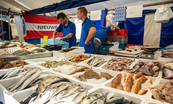 Varietà di pesce in vendita in un negozio a Rotterdam Paesi Bassi . — Foto Stock