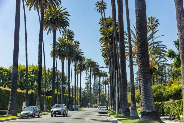 Beverly hills. LA, California, USA. Palm trees and cars, — Stock Photo, Image