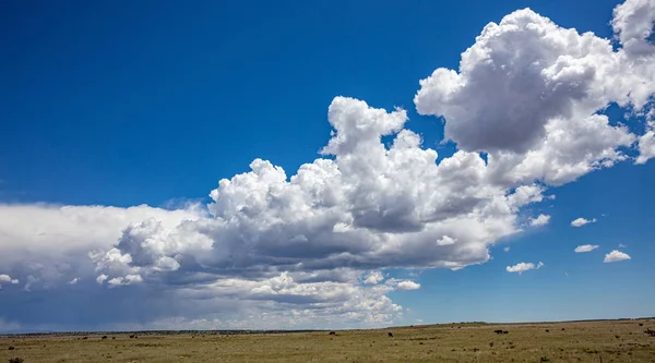 Sunny spring day in american countryside, blue sky with clouds.