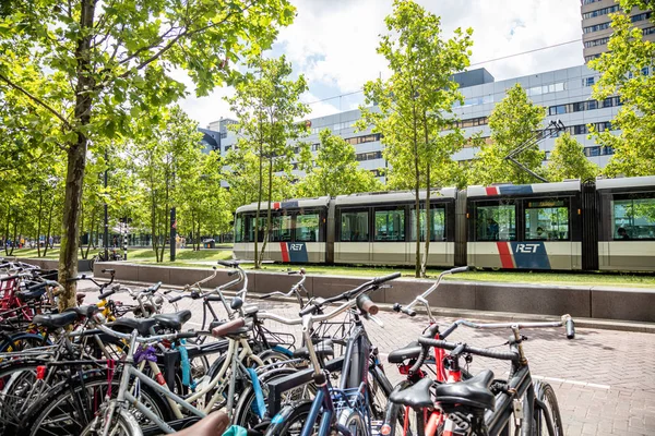 Rowery zaparkowane na chodniku w Rotterdamie, Holandia — Zdjęcie stockowe