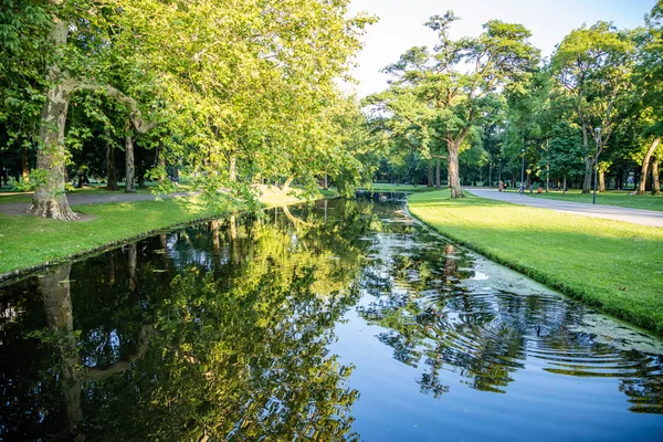 Το πάρκο της πόλης, η αντανάκλαση των δέντρων στο νερό της λίμνης, ηλιόλουστο απόγευμα. Ρότερνταμ, Ολλανδία. — Φωτογραφία Αρχείου