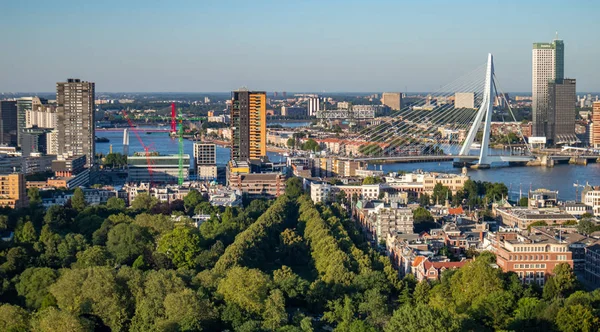 Rotterdam Hollanda şehir manzarası ve Erasmus köprüsü. Euromast kulesinden havadan görünüm, güneşli bir gün — Stok fotoğraf