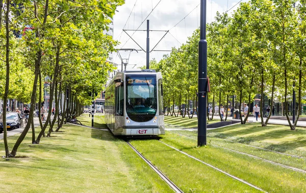 Tramwaj w centrum Rotterdamu, zielone drzewa tło — Zdjęcie stockowe