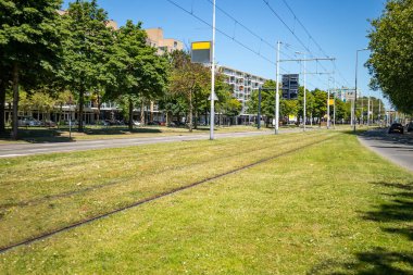 Rotterdam Hollanda şehir merkezinde çimlerle kaplı tramvay rayları