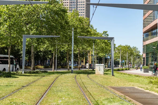 -Villamos tracksborított füvön Rotterdamban Hollandia belvárosában — Stock Fotó