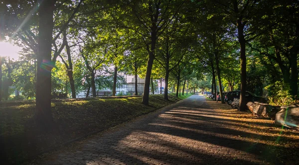 Μονοπάτι σε ένα πάρκο της πόλης, λιθόστρωτο δρομάκι. Ρότερνταμ, Ολλανδία. — Φωτογραφία Αρχείου