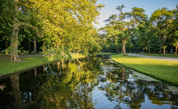 Πάρκο της πόλης του Ρότερνταμ, δέντρα αντανάκλαση στο νερό της λίμνης, ηλιόλουστο απόγευμα, καθαρό γαλάζιο του ουρανού — Φωτογραφία Αρχείου