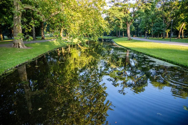 Πάρκο της πόλης του Ρότερνταμ, δέντρα αντανάκλαση στο νερό της λίμνης, ηλιόλουστο απόγευμα, καθαρό γαλάζιο του ουρανού — Φωτογραφία Αρχείου