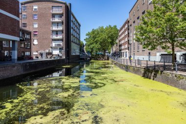 Maas nehri polen tahıl ile kaplı Rotterdam şehir, Hollanda haçlar.