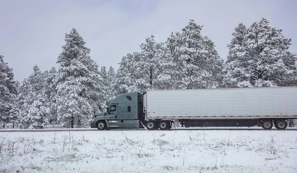 Vrachtwagen op de weg, besneeuwde platteland, bewolkte hemel — Stockfoto