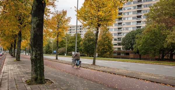 Rear view of a man riding a bicycle, Rotterdam Netherlands. — Stock Photo, Image