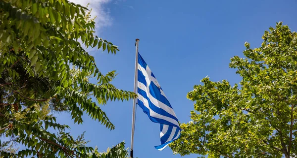 Grekland Underteckna Symbol Grekisk Flagga Flaggstång Och Grönt Träd Lövverk — Stockfoto