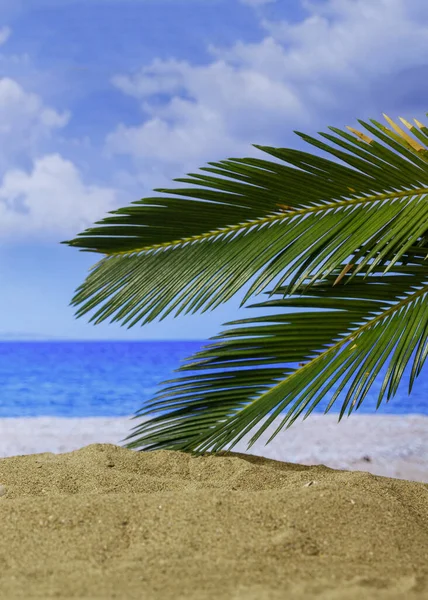 Concepto Vacaciones Verano Playa Arena Con Palmera Sol Nubes Cielo —  Fotos de Stock