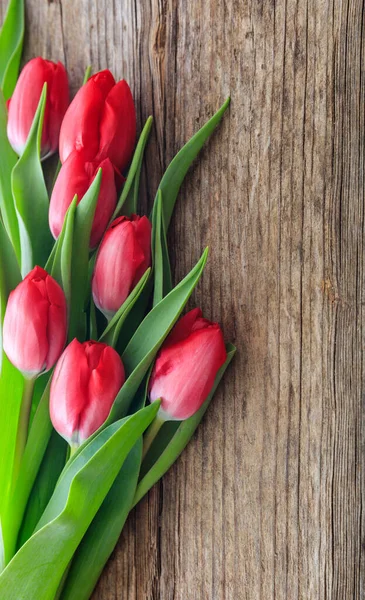 Rode Tulpen Boeket Geïsoleerd Houten Achtergrond Aanwezig Voor Moederdag Vrouwendag — Stockfoto
