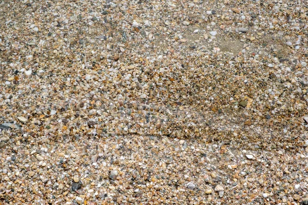Small Pebbles Sand Seabed Background Texture Clear Crystal Shallow Sea — Stock Photo, Image