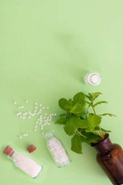 Homöopathie Konzept Homöopathische Kügelchen Aus Einer Glasflasche Frisches Kraut Grüner — Stockfoto