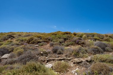 Tzia, Kea adasının kırsal kesiminde çalılık, kuru, vahşi doğa. Taşlar ve çalılar arasında yürüyüş, Yunanistan 'da macera, yaz tatilleri. Açık mavi gökyüzü arkaplanı.