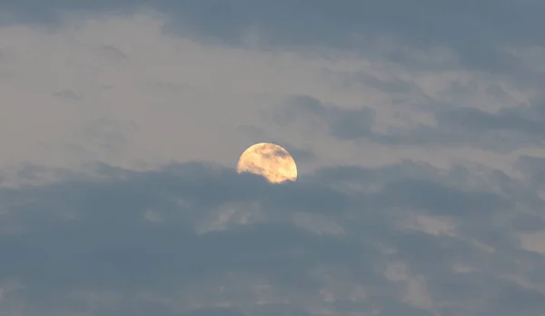 Agosto Naranja Luna Llena Que Llama Luna Esturión Esconde Detrás —  Fotos de Stock