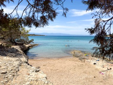 Porto Cheli Yunanistan 'daki çam dalları çerçeveli turkuaz suyu ve yüzücülerle kumlu koy, güneşli yaz günü, sakin kıyı manzarası.