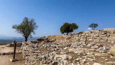 Yunanistan 'daki Miken arkeolojik sahasında dağınık zeytin ağaçlarıyla antik taş kalıntıları, parlak güneş ışığı ve mavi gökyüzü ile yaz günü
