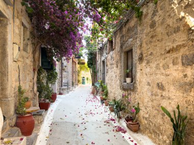 Olimpoi mastik köyü, ortaçağ yerleşkesi. Chios Adası, Yunanistan. Dar bir sokak, geleneksel mimari taş evler ve saksılar.