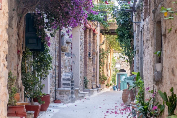Olimpoi mastik köyü, ortaçağ yerleşkesi. Chios Adası, Yunanistan. Dar bir sokak, geleneksel mimari taş evler ve saksılar.