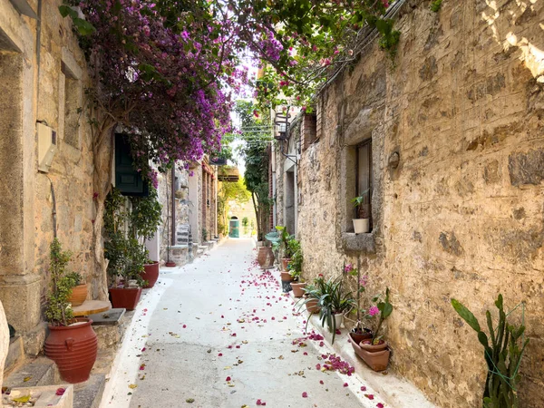 Olimpoi mastik köyü, ortaçağ yerleşkesi. Chios Adası, Yunanistan. Dar bir sokak, geleneksel mimari taş evler ve saksılar.