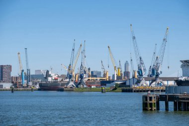 Rotterdam Limanı, Hollanda. Kargo gemileri ve vinçler yükleniyor, Lojistik endüstrisi 